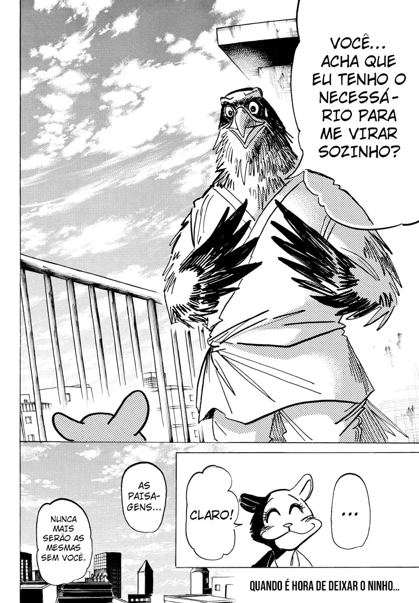 Página 23 do Capítulo 11