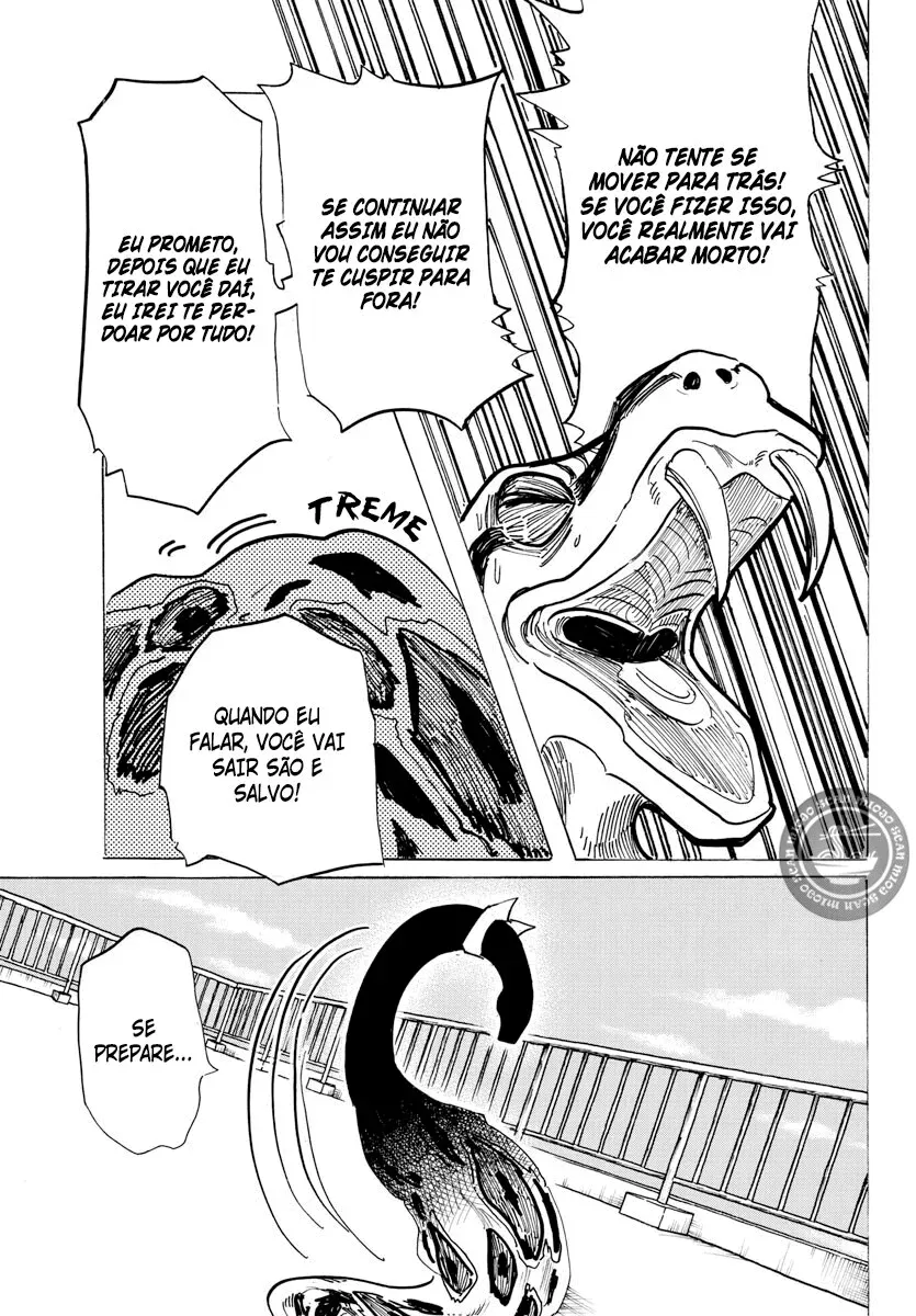 Página 21 do Capítulo 15